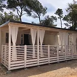 Camping Summertime By Pearl Of The Biograd