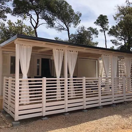 Campsite Summertime By Pearl Of The Biograd